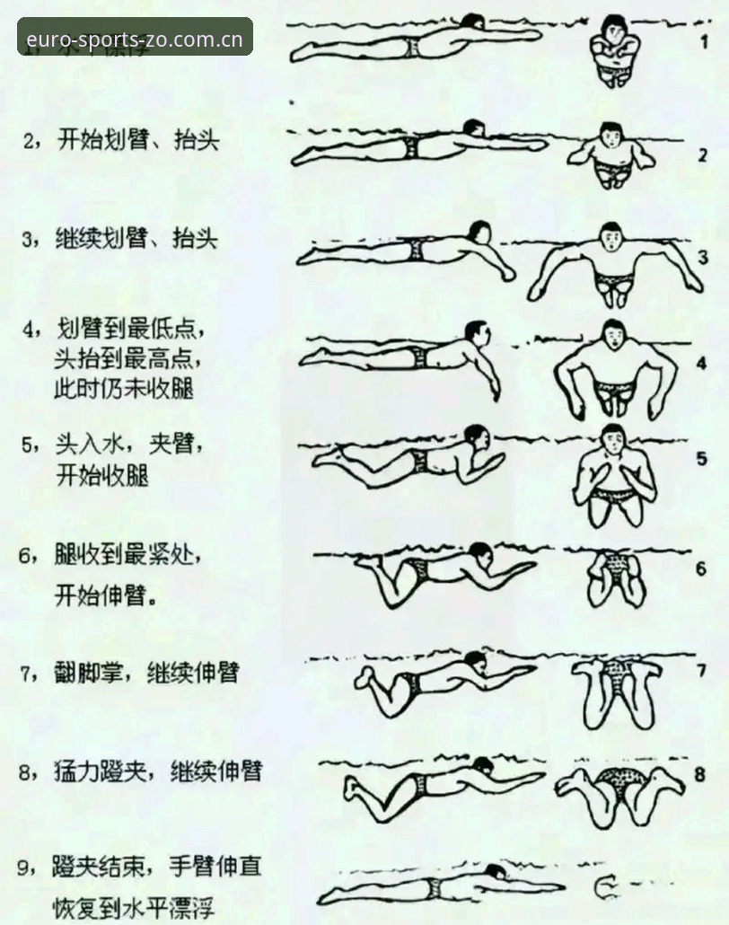 新手必看！中欧体育娱乐教程背后的真相，一篇文章让你从小白变高手